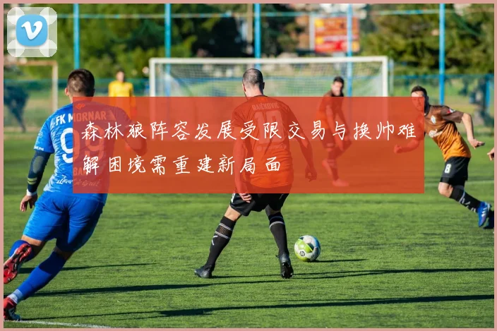 森林狼阵容发展受限交易与换帅难解困境需重建新局面