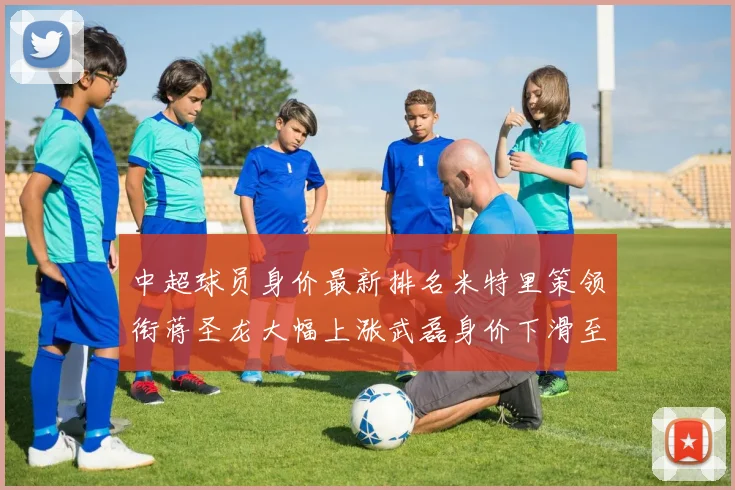 中超球员身价最新排名米特里策领衔蒋圣龙大幅上涨武磊身价下滑至50万