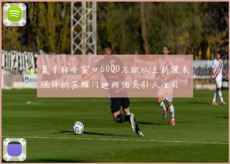 夏季转会窗口6000万欧以上新援表现评析苏维门迪姆伯莫引人注目
