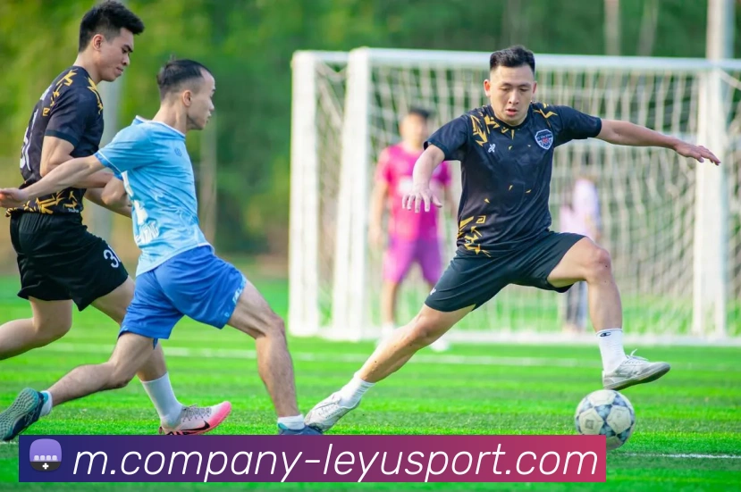 乐鱼体育平台生态图