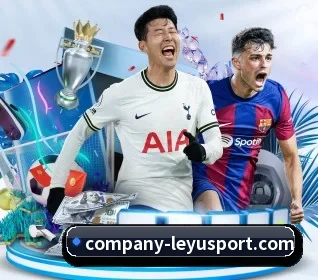 五大服务分区,信息按项目分类（leyu）